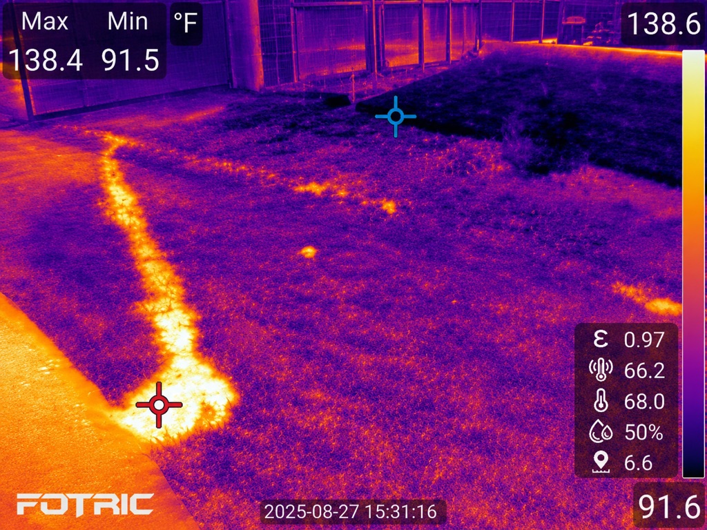 Ground-level thermogram of a yard beside a fence